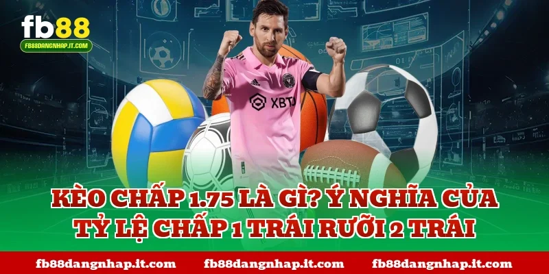 Kèo chấp 1.75 là gì? Ý nghĩa của tỷ lệ chấp 1 trái rưỡi 2 trái